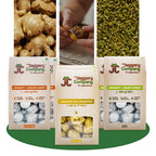 Flavoured Jaggery Candy Combo – Pack of 6 (200 g each)